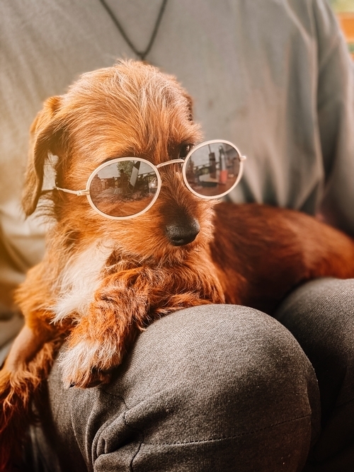 Best hostel for socializing