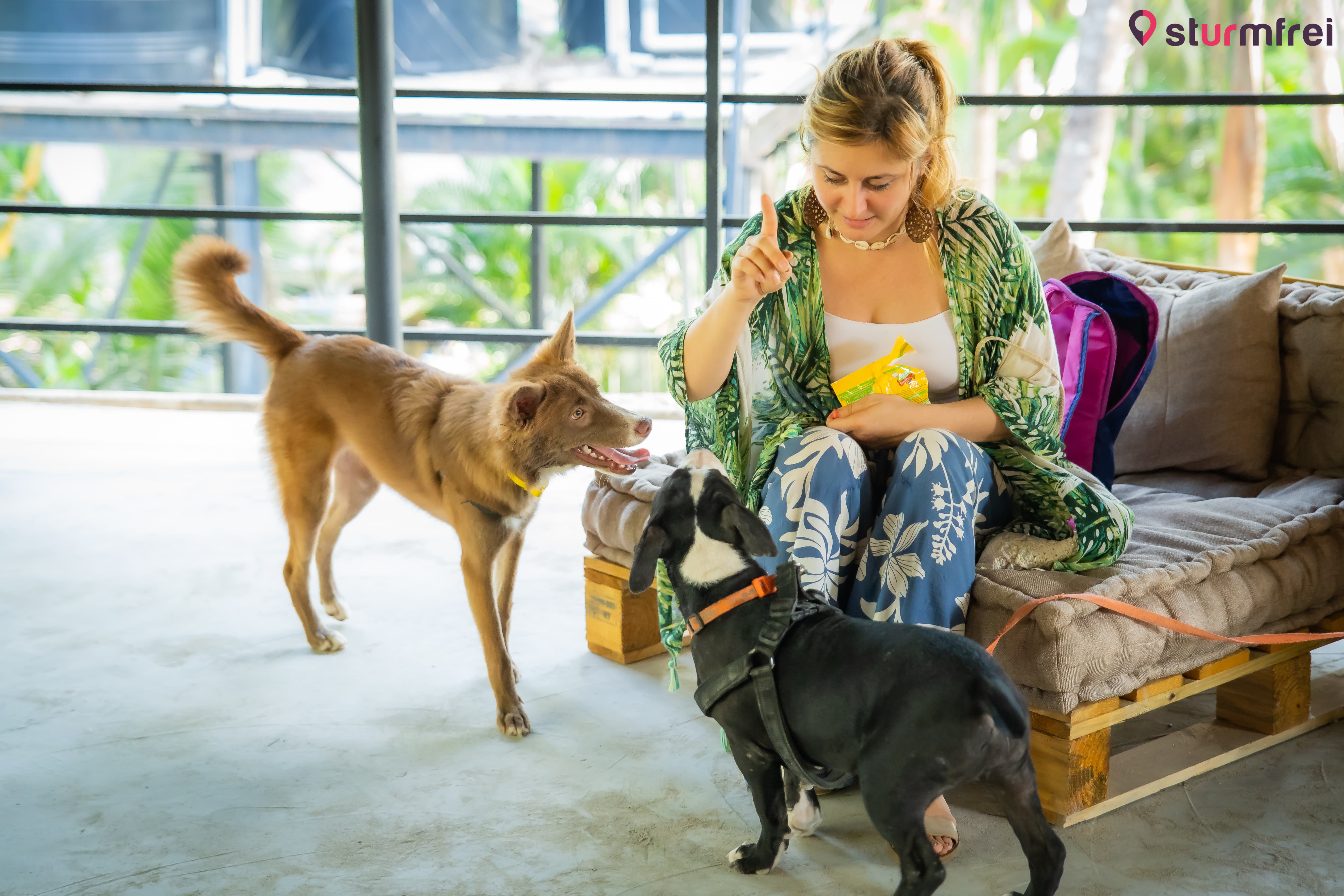 Best hostel for socializing