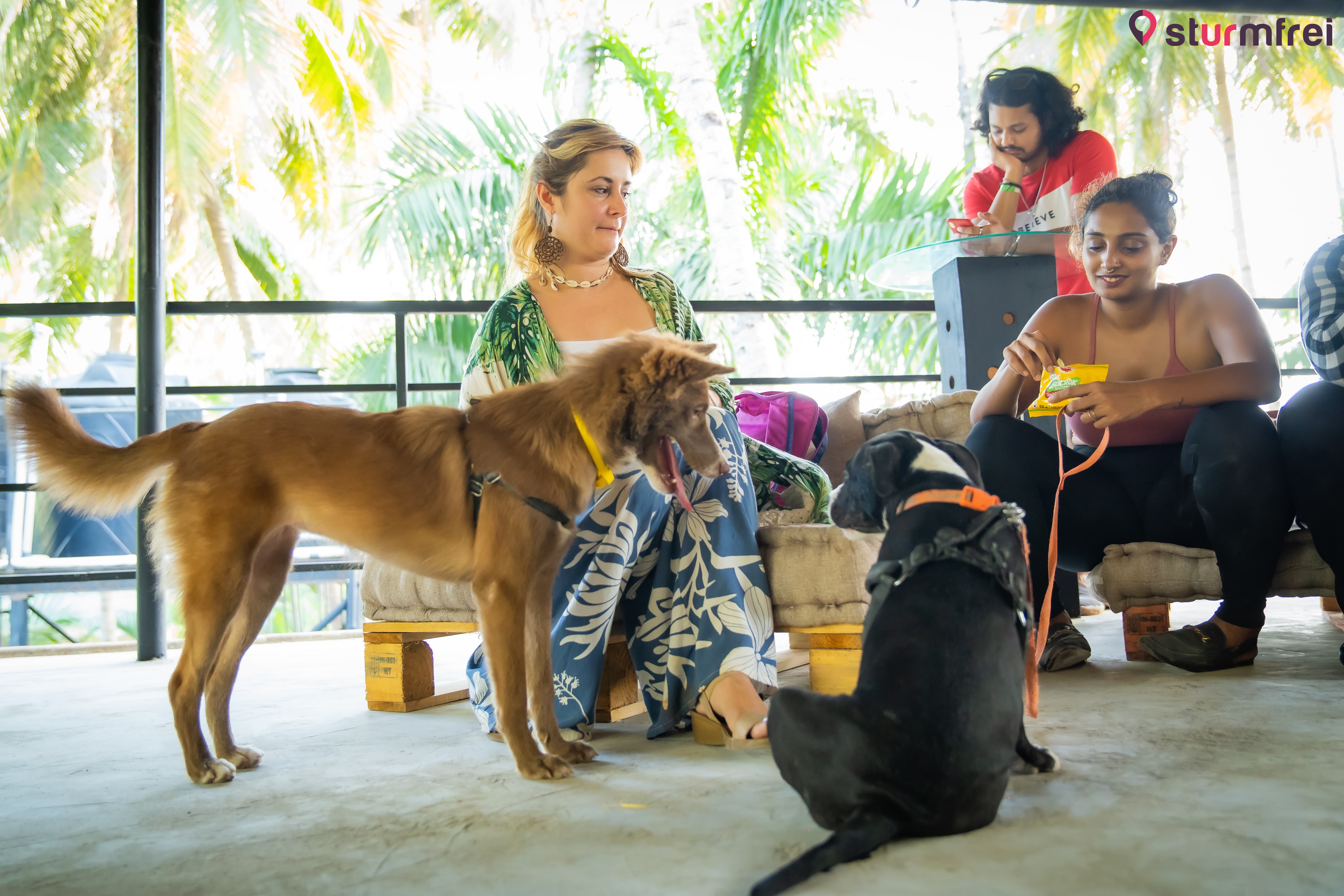 Best hostel for socializing