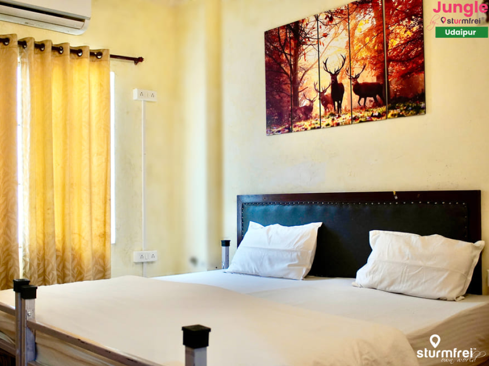 best hostel in Udaipur