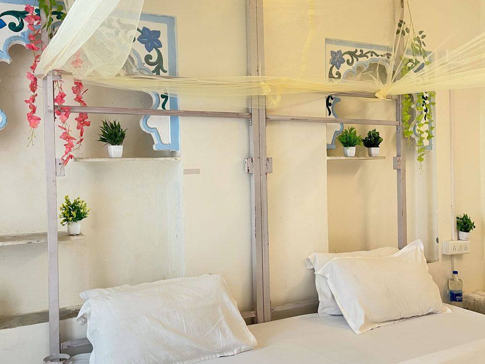 best hostel in Udaipur