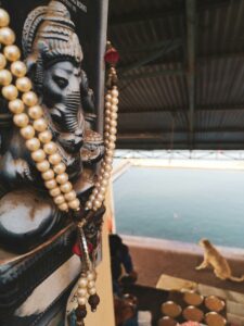 best hostel in Pushkar