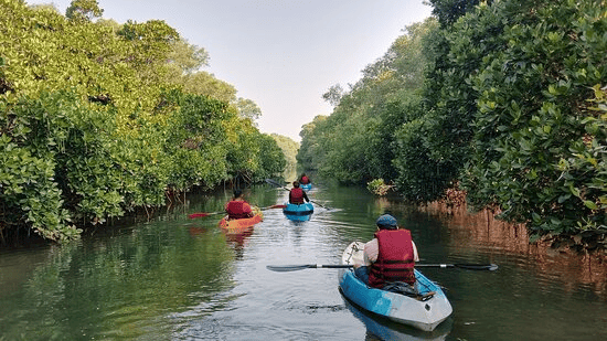 Kayaking Goa